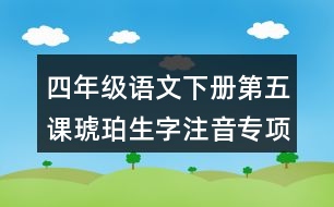 四年級(jí)語(yǔ)文下冊(cè)第五課琥珀生字注音專項(xiàng)訓(xùn)練答案