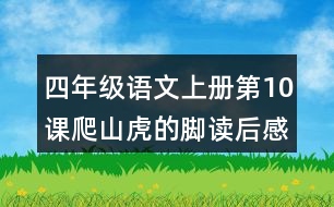 四年級語文上冊第10課爬山虎的腳讀后感