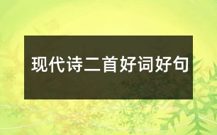 現(xiàn)代詩(shī)二首好詞好句