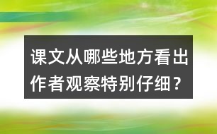 課文從哪些地方看出作者觀察特別仔細？