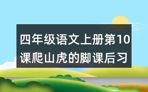 四年級(jí)語文上冊(cè)第10課爬山虎的腳課后習(xí)題參考答案