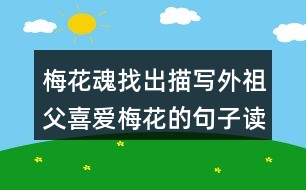 梅花魂找出描寫外祖父喜愛梅花的句子讀一讀，體會這些句子對表達外祖父的思鄉(xiāng)之情有什么好處。