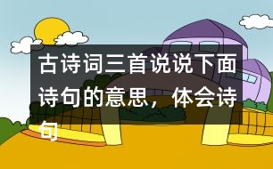 古詩詞三首說說下面詩句的意思，體會詩句表達的思想感情。