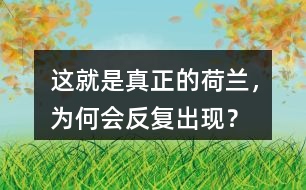 這就是真正的荷蘭，為何會(huì)反復(fù)出現(xiàn)？