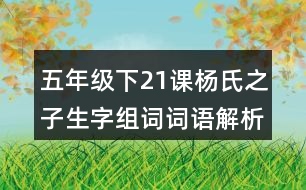 五年級(jí)下21課楊氏之子生字組詞詞語(yǔ)解析