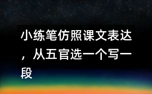 小練筆：仿照課文表達，從五官選一個寫一段話