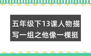 五年級(jí)下13課人物描寫一組之他像一棵挺脫的樹重難點(diǎn)復(fù)習(xí)筆記