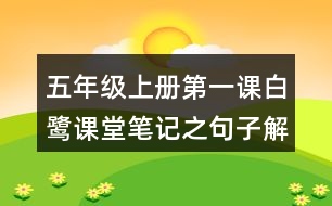 五年級上冊第一課白鷺課堂筆記之句子解析