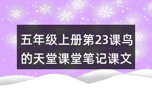 五年級(jí)上冊(cè)第23課鳥的天堂課堂筆記課文分段