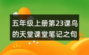 五年級(jí)上冊(cè)第23課鳥(niǎo)的天堂課堂筆記之句子解析