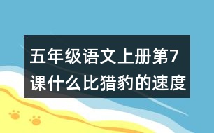 五年級(jí)語文上冊(cè)第7課什么比獵豹的速度更快課堂筆記之本課重難點(diǎn)