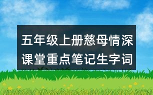 五年級(jí)上冊(cè)慈母情深課堂重點(diǎn)筆記生字詞