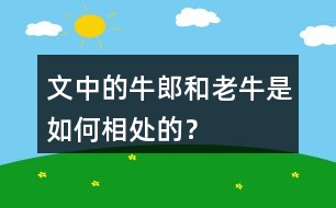 文中的牛郎和老牛是如何相處的？