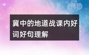 冀中的地道戰(zhàn)課內(nèi)好詞好句理解