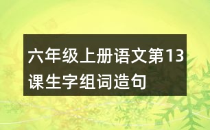 六年級(jí)上冊(cè)語文第13課生字組詞造句