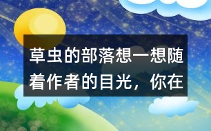 草蟲的部落想一想隨著作者的目光，你在“曹操的部落”看到了什么，印象最深的有哪些？