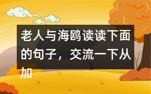 老人與海鷗讀讀下面的句子，交流一下從加點的詞句中體會到了什么，再把句子抄下來。