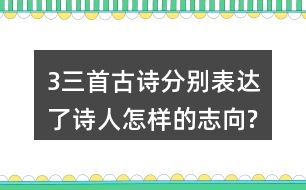 3、三首古詩分別表達了詩人怎樣的志向?表達的方法有什么共同特點?