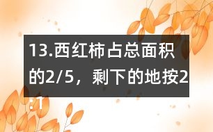 13.西紅柿占總面積的2/5，剩下的地按2:1的比種黃瓜和茄子。