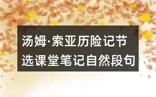 湯姆·索亞歷險記（節(jié)選）課堂筆記：自然段句子作用