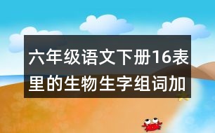 六年級(jí)語文下冊16表里的生物生字組詞加拼音