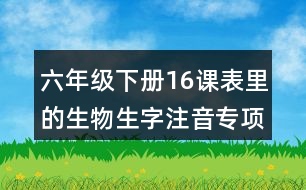 六年級下冊16課表里的生物生字注音專項練習