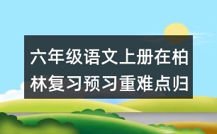 六年級(jí)語文上冊(cè)在柏林復(fù)習(xí)預(yù)習(xí)重難點(diǎn)歸納筆記