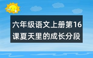 六年級語文上冊第16課夏天里的成長分段與段落大意