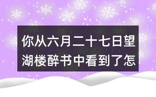 你從六月二十七日望湖樓醉書中看到了怎樣的一幅畫面？