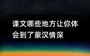 課文哪些地方讓你體會(huì)到了“蒙漢情深”？