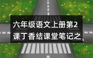 六年級語文上冊第2課丁香結(jié)課堂筆記之本課重難點(diǎn)