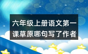 六年級(jí)上冊(cè)語(yǔ)文第一課草原哪句寫(xiě)了作者的感受?