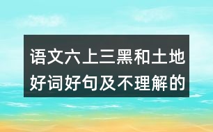 語文六上三黑和土地好詞好句及不理解的詞語