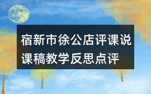 宿新市徐公店評課說課稿教學(xué)反思點評