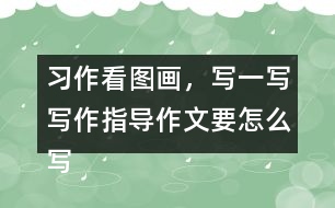習(xí)作：看圖畫，寫一寫寫作指導(dǎo)作文要怎么寫