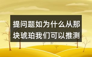 提問題如：為什么從那塊琥珀我們可以推測出幾千萬年前故事？