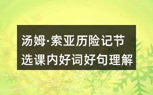 湯姆·索亞歷險(xiǎn)記節(jié)選課內(nèi)好詞好句理解