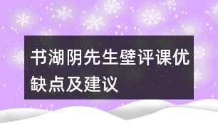 書湖陰先生壁評(píng)課優(yōu)缺點(diǎn)及建議