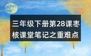 三年級下冊第28課棗核課堂筆記之重難點歸納