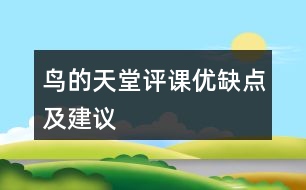 鳥(niǎo)的天堂評(píng)課優(yōu)缺點(diǎn)及建議