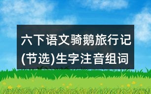 六下語(yǔ)文騎鵝旅行記(節(jié)選)生字注音組詞