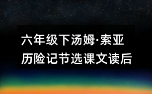 六年級(jí)下湯姆·索亞歷險(xiǎn)記節(jié)選課文讀后感