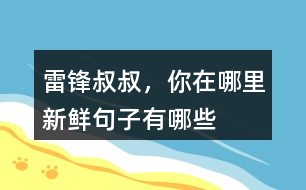 雷鋒叔叔，你在哪里新鮮句子有哪些