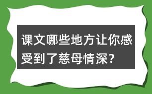 課文哪些地方讓你感受到了慈母情深？