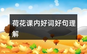 荷花課內好詞好句理解