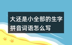 大還是小全部的生字拼音詞語怎么寫