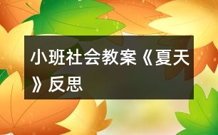 小班社會教案《夏天》反思