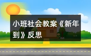 小班社會教案《新年到》反思