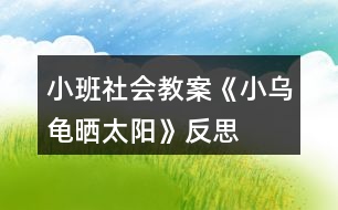 小班社會教案《小烏龜曬太陽》反思