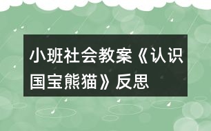 小班社會教案《認(rèn)識國寶熊貓》反思